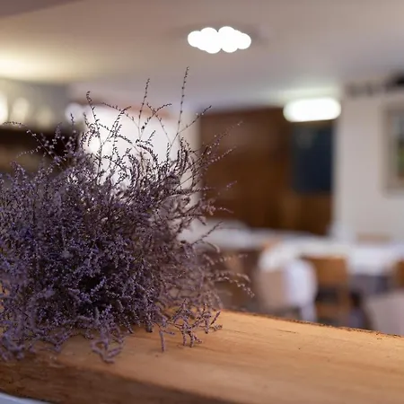 La Tavernetta فندق مارينا روميا