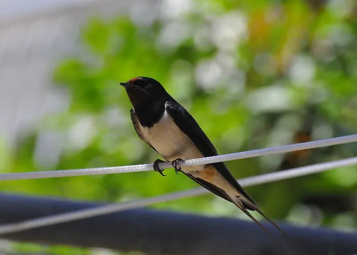 La Tavernetta Hotell 3*